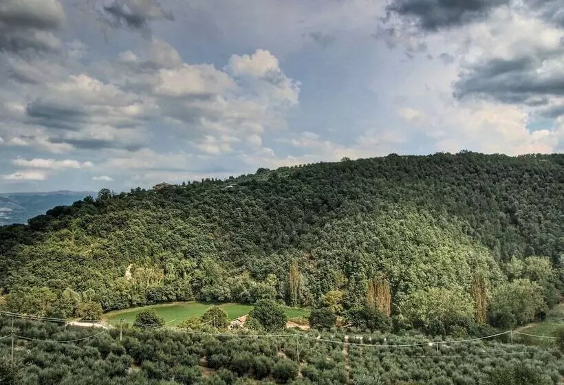 Attractive Apartment In Bettona With Swimming Pool