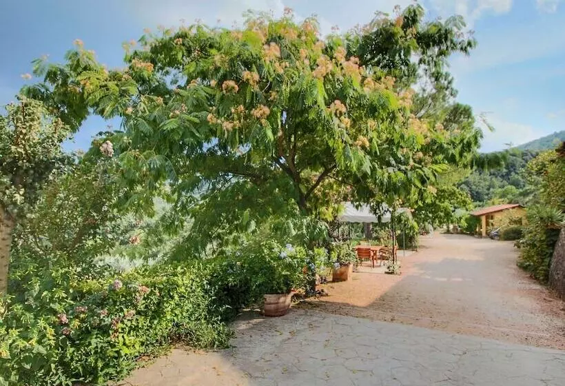 Attractive Apartment In Bettona With Swimming Pool