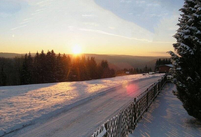Flat Near The Forest In Frauenwald Thuringia