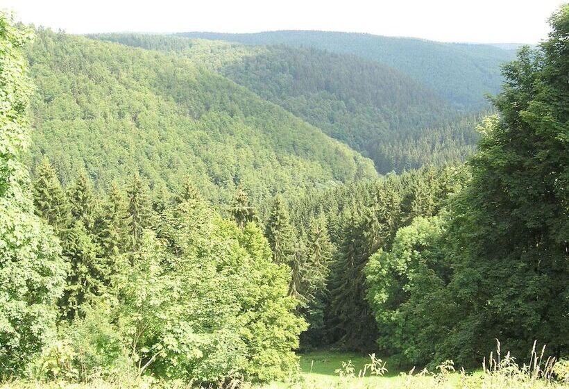 Flat Near The Forest In Frauenwald Thuringia