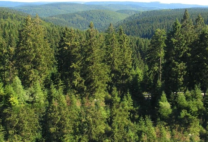 Flat Near The Forest In Frauenwald Thuringia