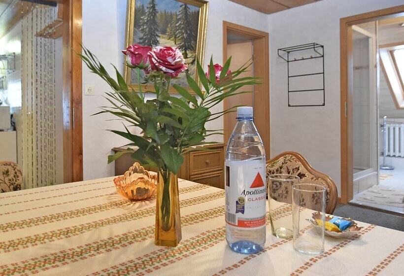 Flat Near The Forest In Frauenwald Thuringia