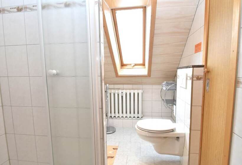 Flat Near The Forest In Frauenwald Thuringia