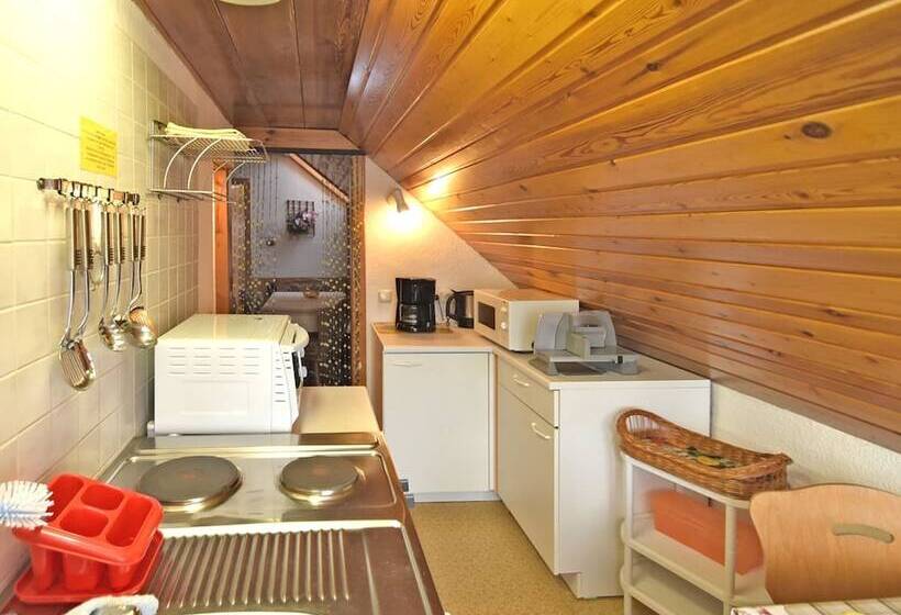 Flat Near The Forest In Frauenwald Thuringia