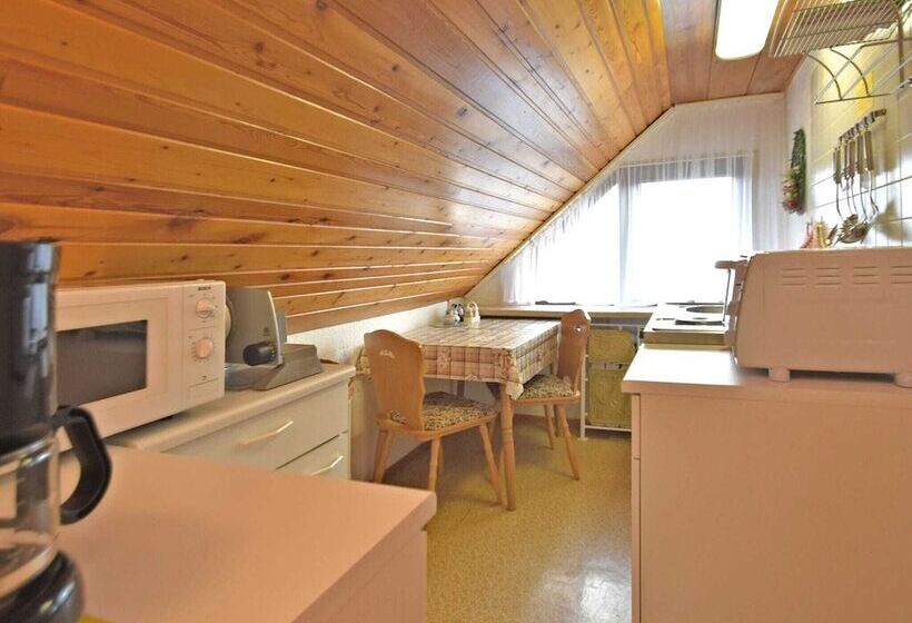 Flat Near The Forest In Frauenwald Thuringia