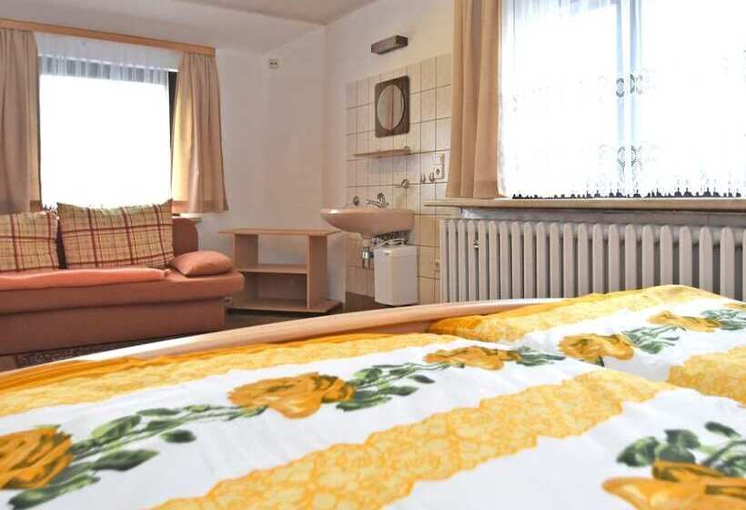 Flat Near The Forest In Frauenwald Thuringia