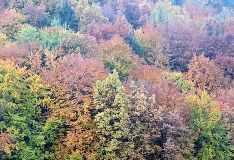 Aamiaismajoitus (B&B) Gästehaus Klopfer