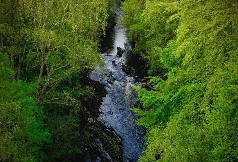 Birchbank B&b Scotland