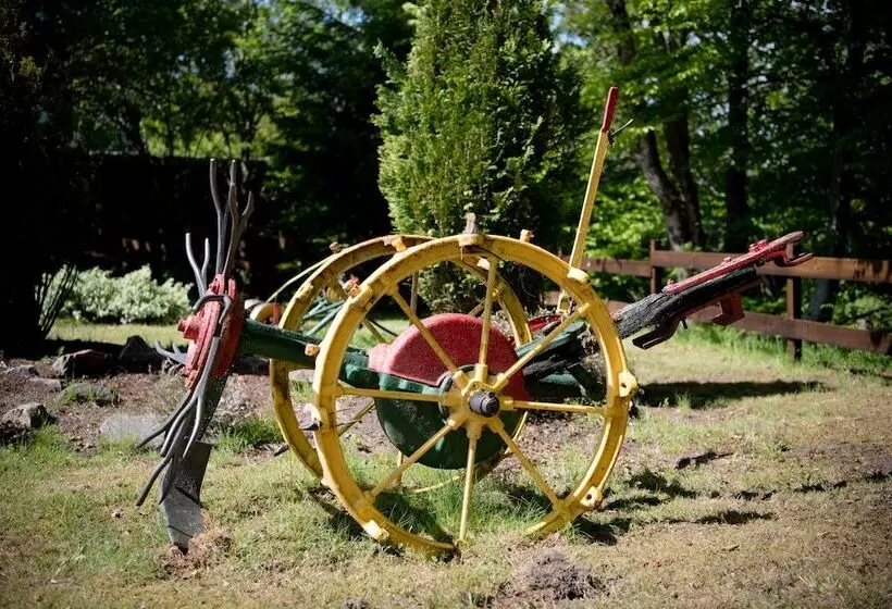 Birchbank B&b Scotland