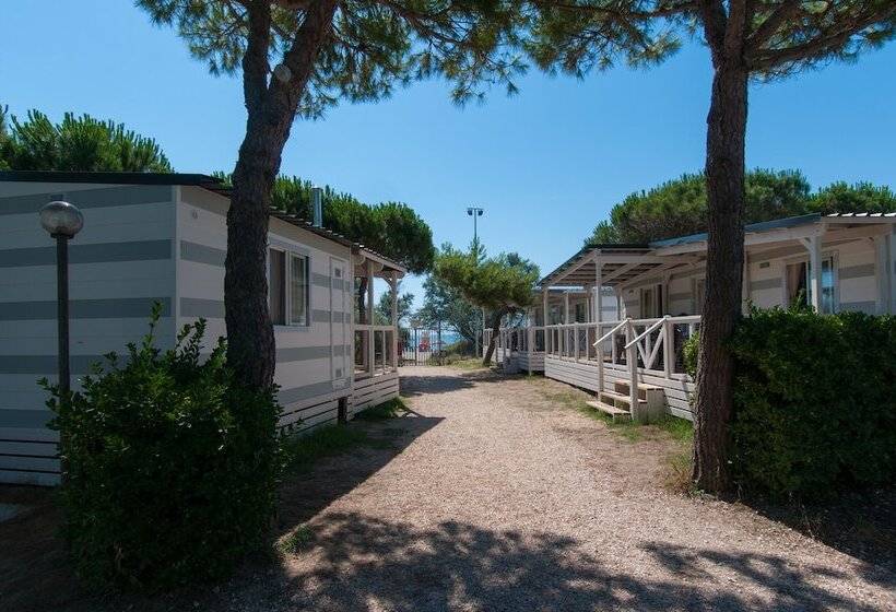 호텔 Club Del Sole Marina Julia Family Camping Village