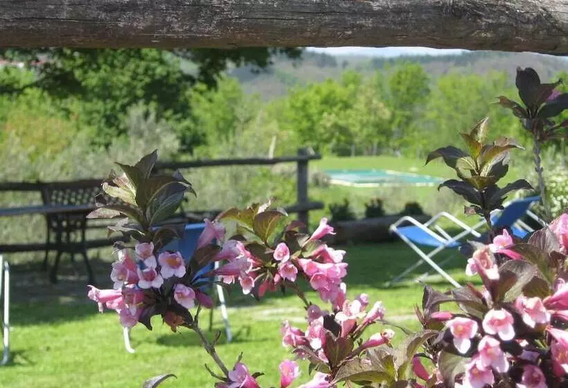田舎風ホテル Agriturismo Al Vecchio Tino