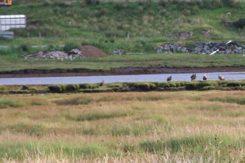 مبيت وإفطار Trien Lodge