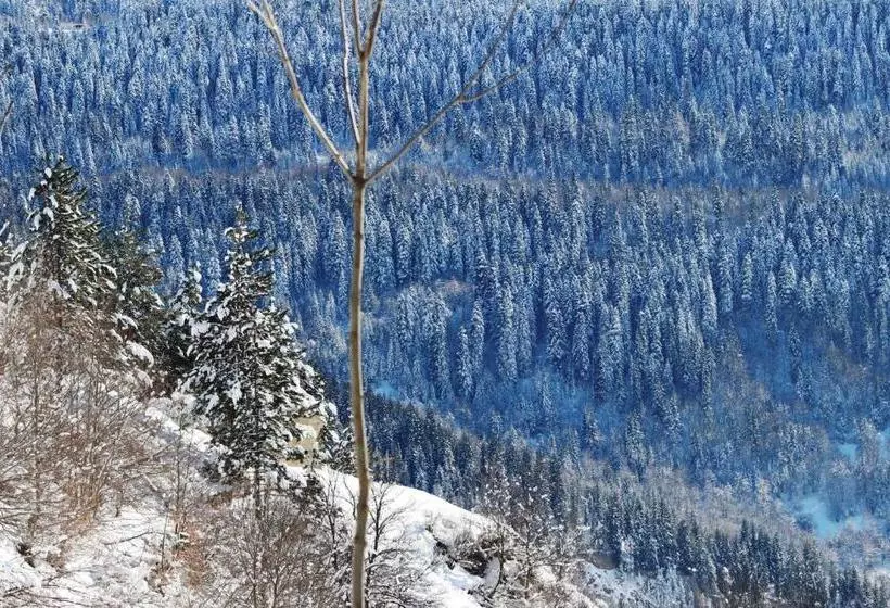 پانسیون River Side Svaneti