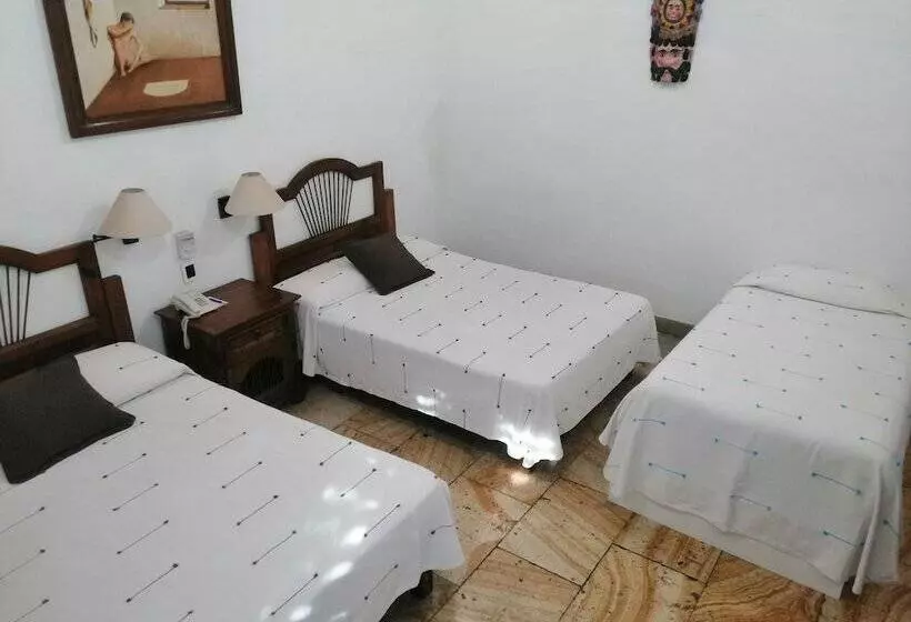 فندق Viajero Oaxaca Hostel