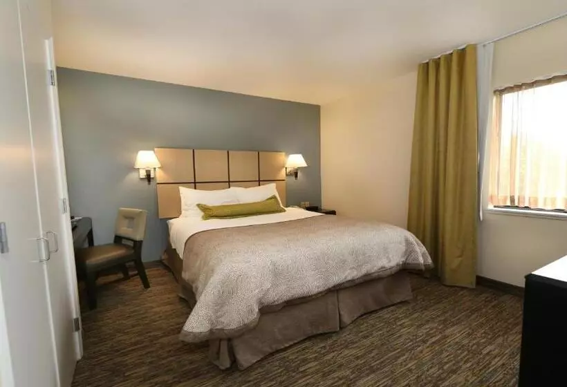 酒店 Candlewood Suites East Lansing, An Ihg