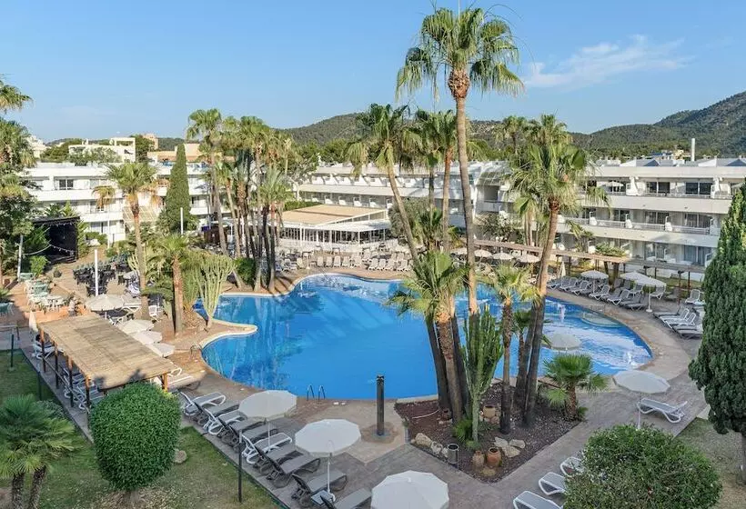 هتل Fergus Club Palmanova Park