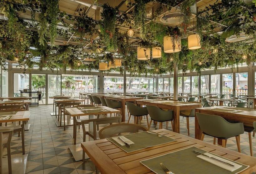 Отель Fergus Club Palmanova Park