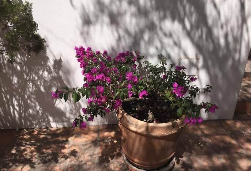 هتل La Puertecita Apart