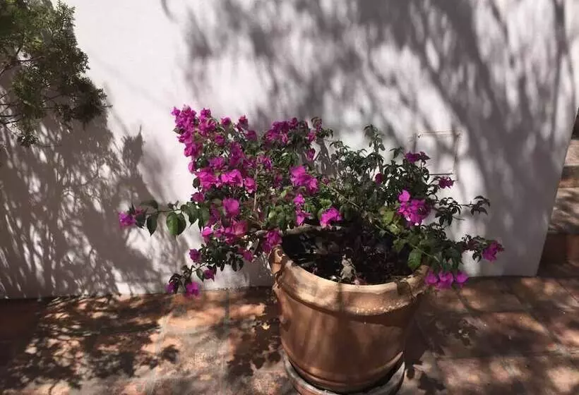 ホテル La Puertecita Apart