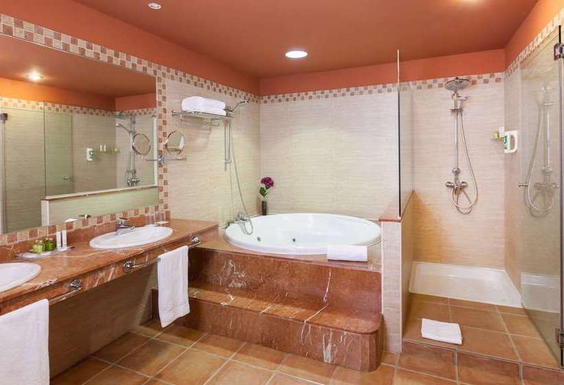 酒店 Occidental Jandia Playa