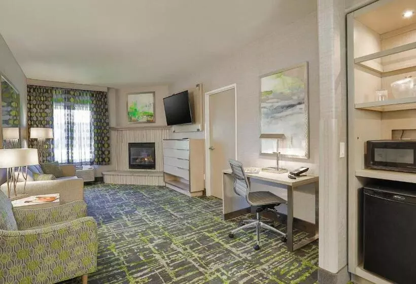 هتل Springhill Suites Prescott