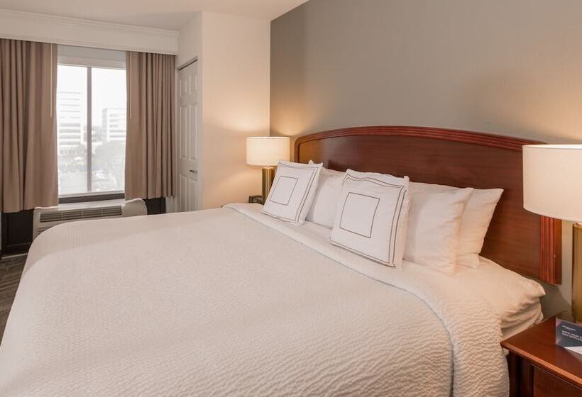 فندق Springhill Suites By Marriott Tampa Westshore