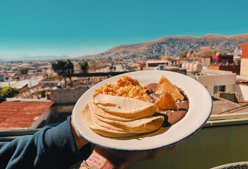 Отель Viajero Oaxaca Hostel