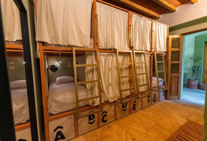 Отель Viajero Oaxaca Hostel