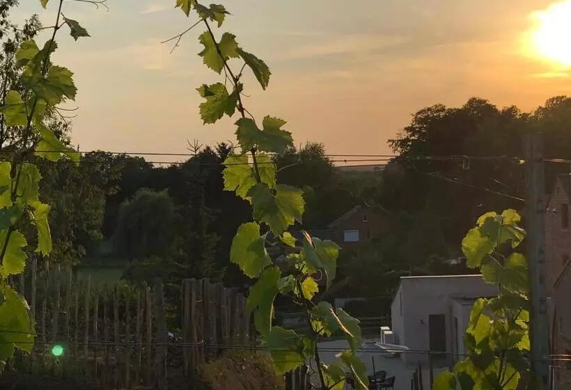 B & B De Romeinse Katzei