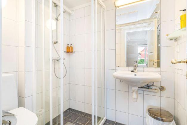 Hotel Frich`s Kongsvold