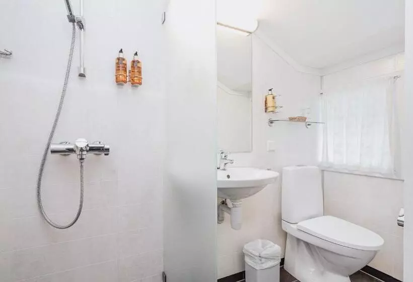 Hotelli Frich`s Kongsvold