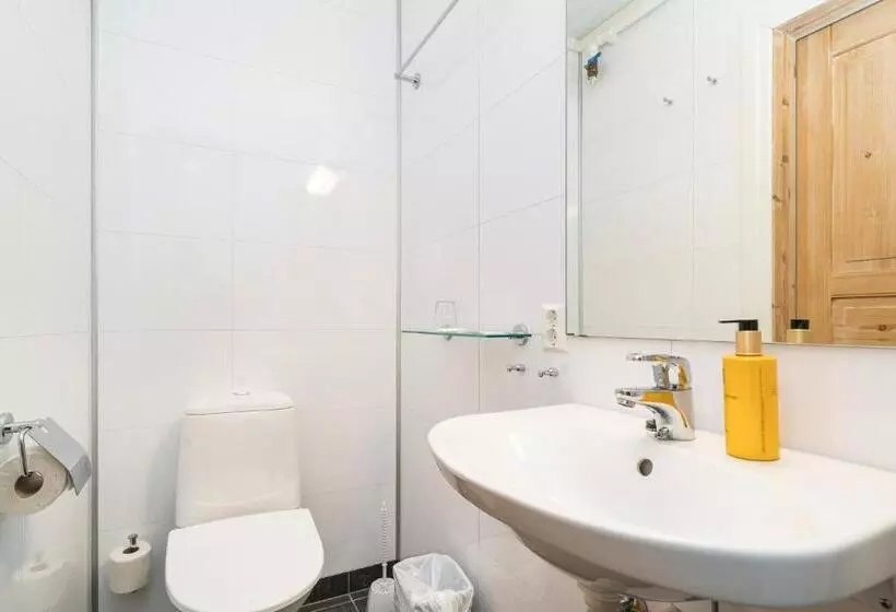 Hotelli Frich`s Kongsvold