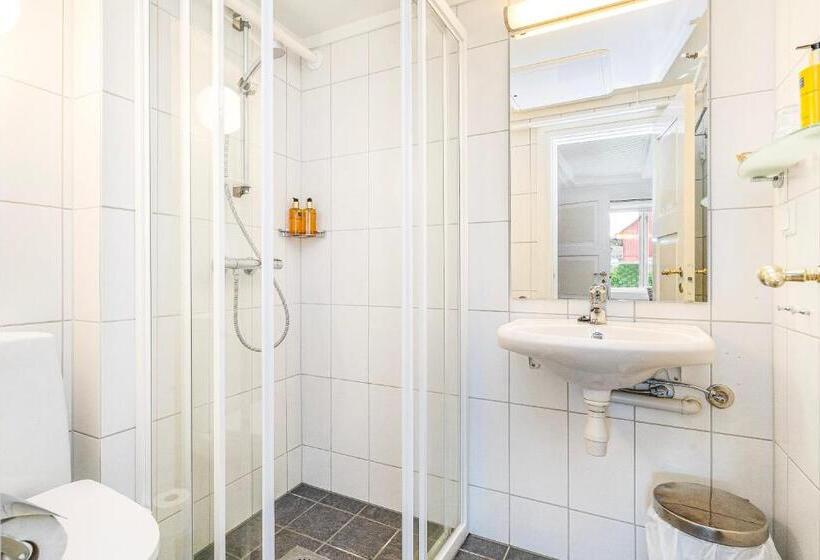 Hotel Frich`s Kongsvold