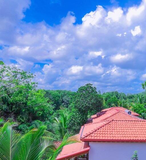 Terrace Garden Ayurveda Resort