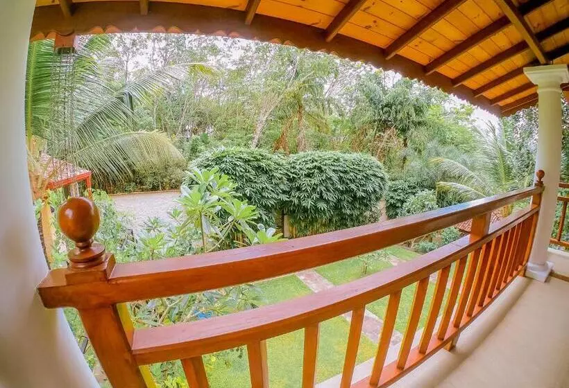 Terrace Garden Ayurveda Resort
