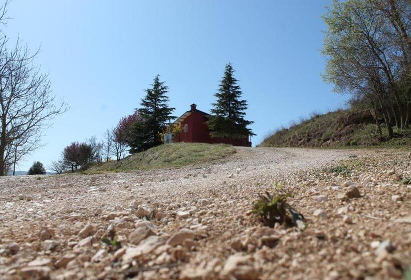 B&b La Casa Di Sirio