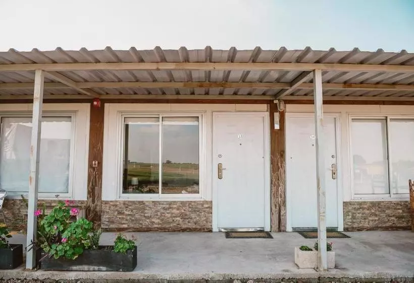 هتل Nueva Palmira