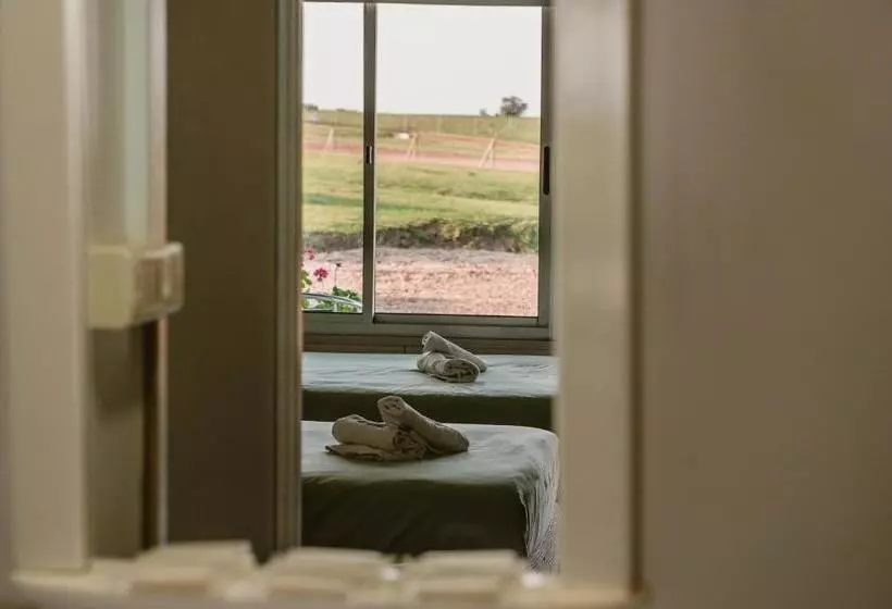 هتل Nueva Palmira