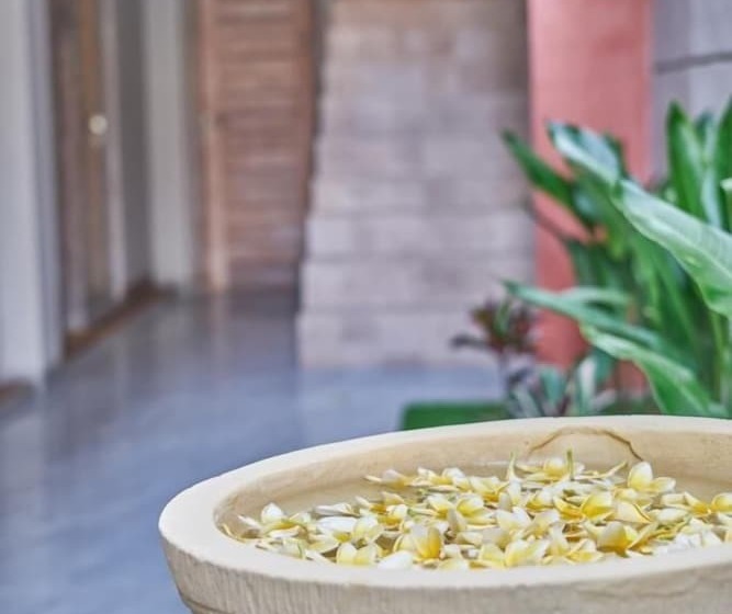 膳宿费 Jimbaran 5 Guesthouse