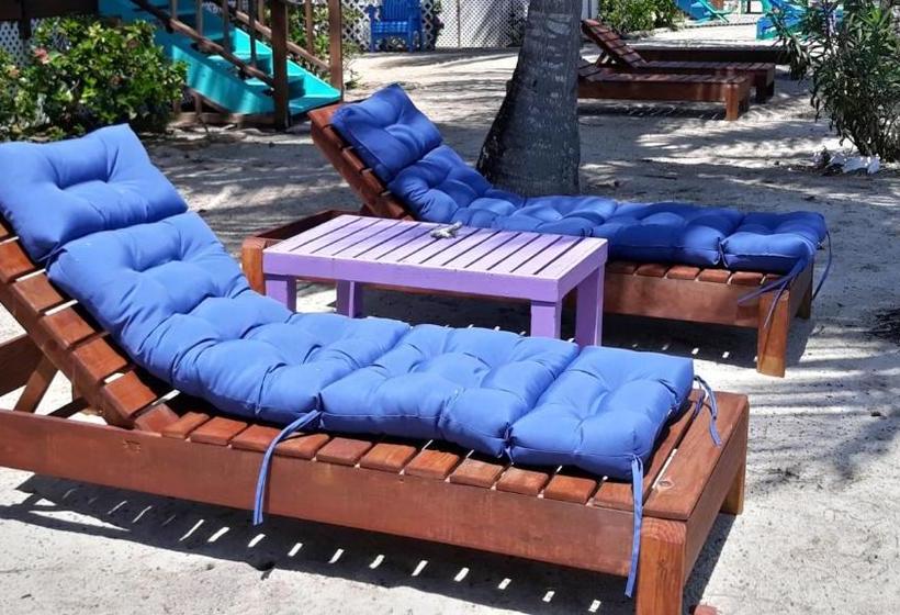 בית מלון כפרי Coco's Beachfront Cabanas