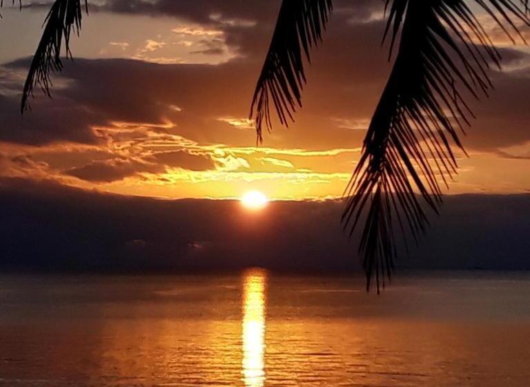 בית מלון כפרי Coco's Beachfront Cabanas