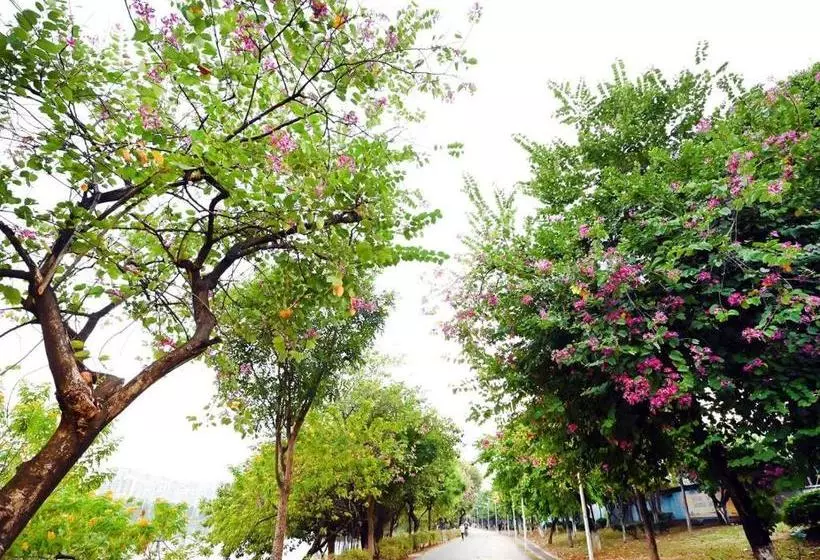 ホテル Lavande  Dongguan Songshan Lake Huawei