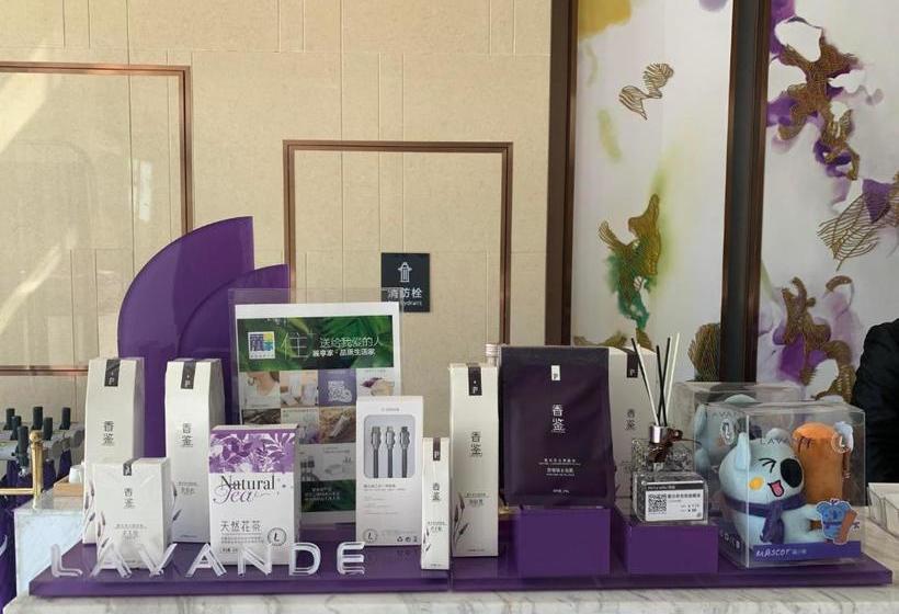 酒店 Lavande Xingtai Future Plaza