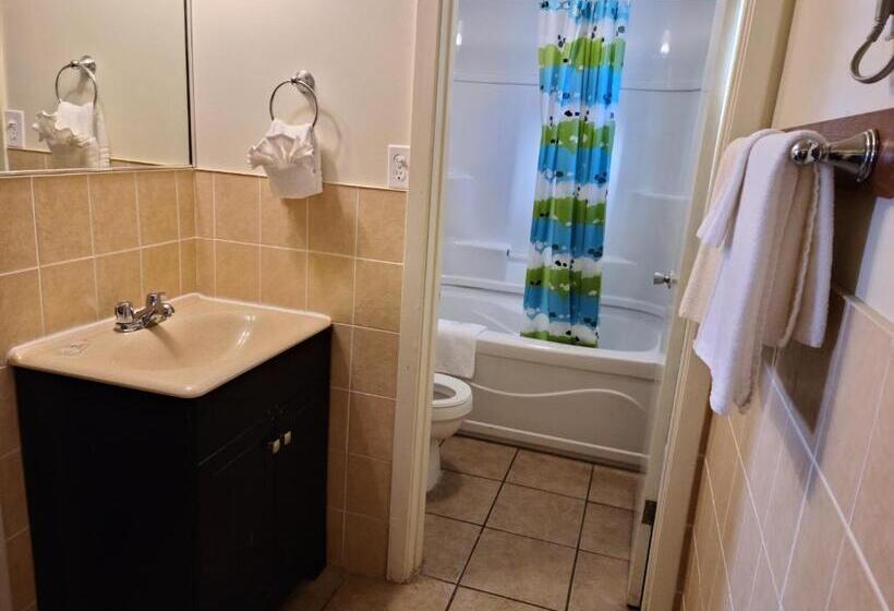 فندق على الطريق Choice Inn By The Falls