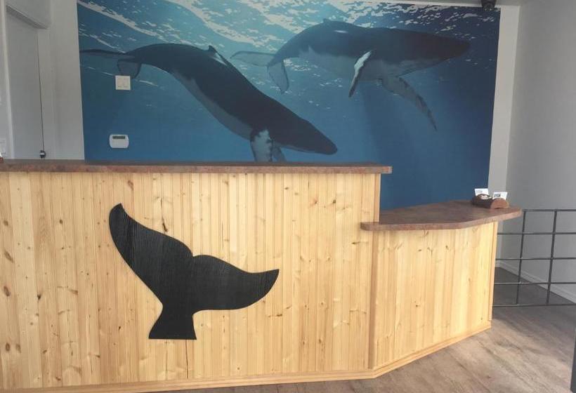 فندق على الطريق Humpback Inn