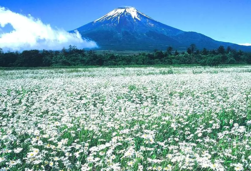 旅館 Sports Inn Aoyama Dori