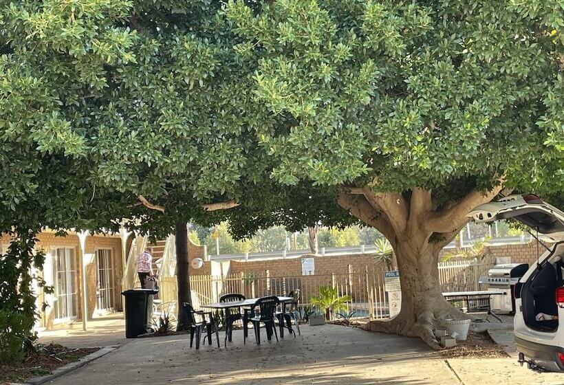 汽车旅馆 Darling Junction Motor Inn