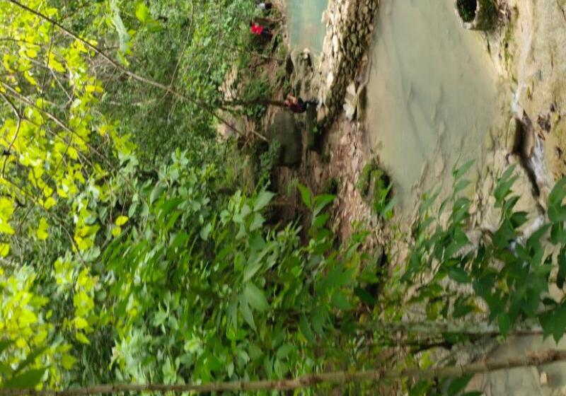 Natural Stone Homestay Syariah   Hostel