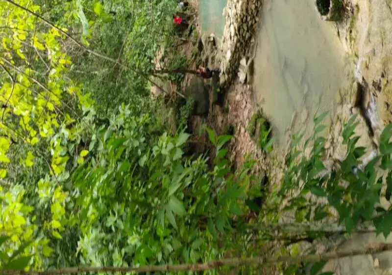 Natural Stone Homestay Syariah   Hostel