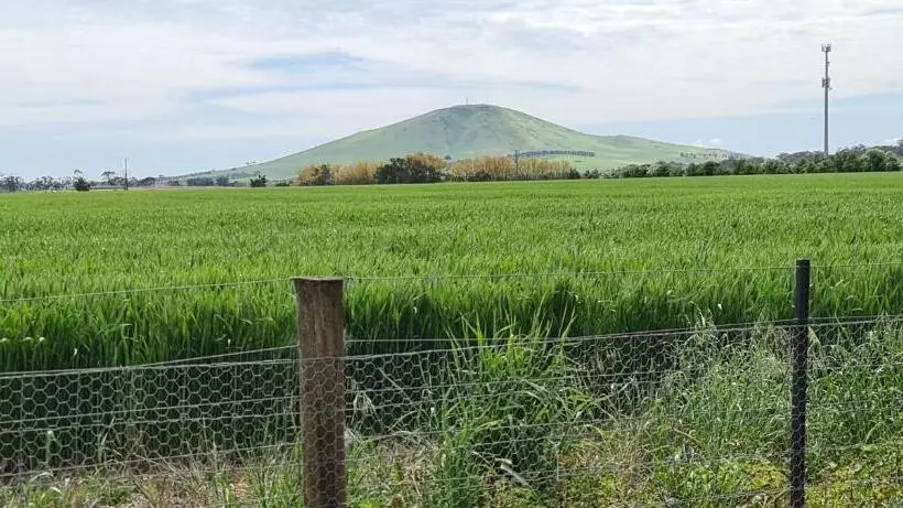 ペンション New Horizons Farm Stay